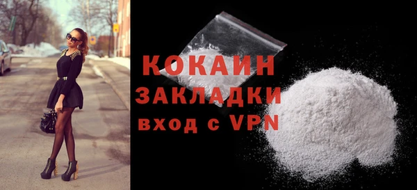 дурь Няндома