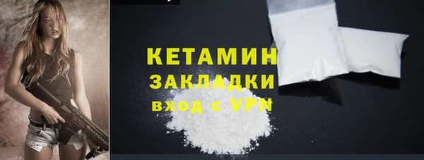 дурь Няндома