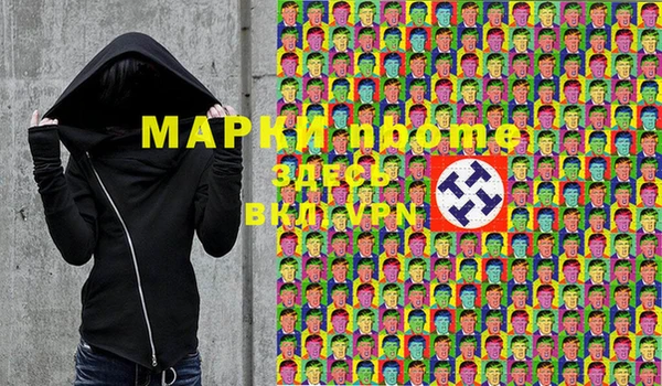 дурь Няндома