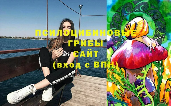 дурь Няндома