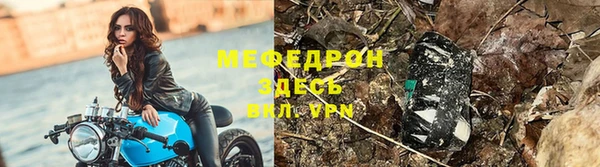 дурь Няндома