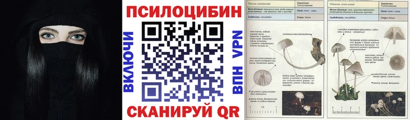 даркнет официальный сайт  купить наркотик  Сретенск  Псилоцибиновые грибы ЛСД 